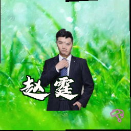 赵霆